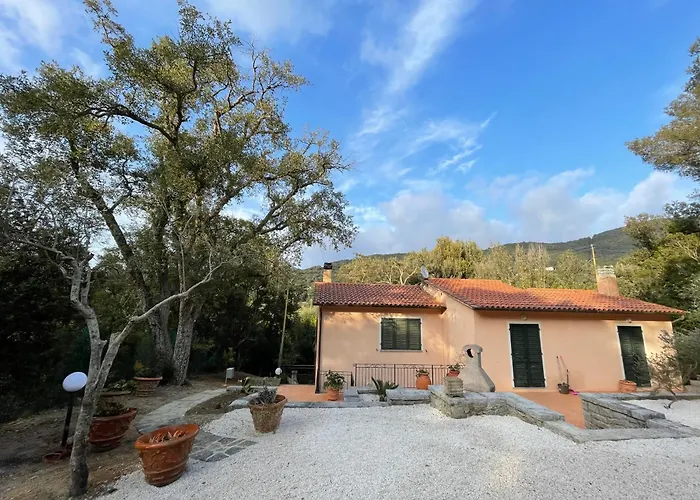 Dom wakacyjny Le Sughere